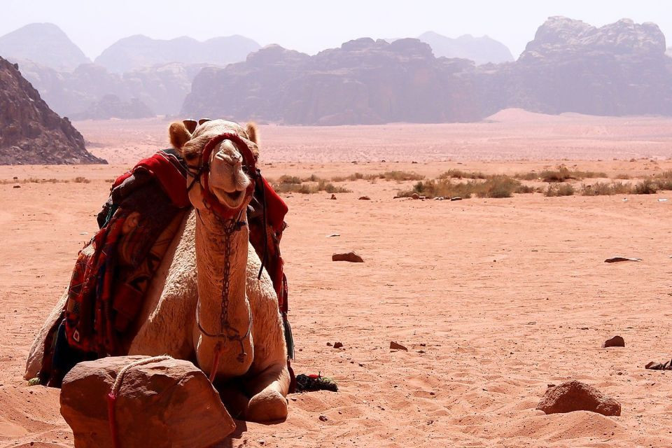 Hurghada Wüstensafari und Quad fahren