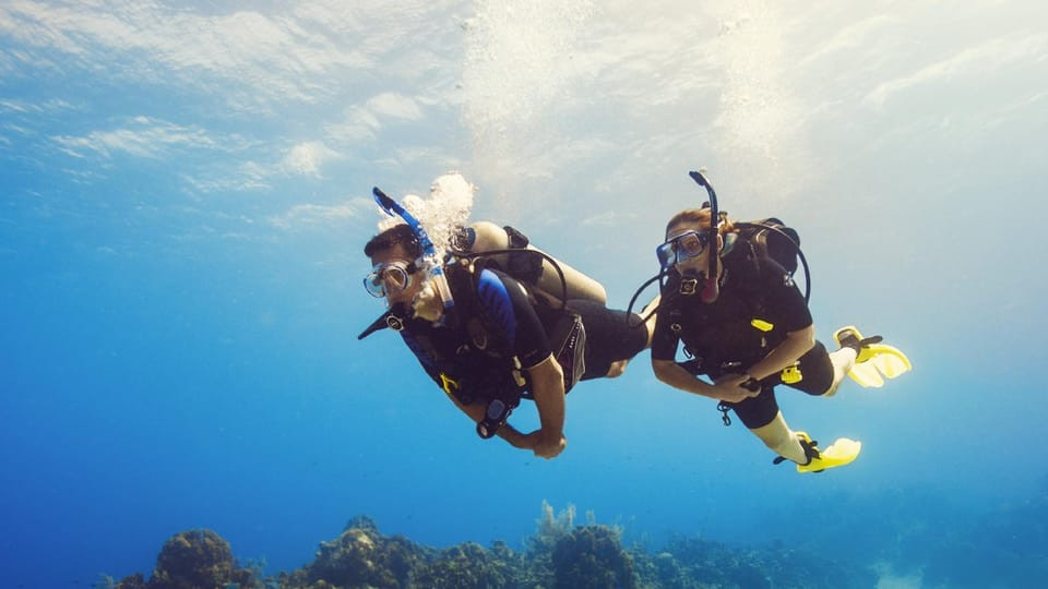 tauchen in ägypten in hurghada