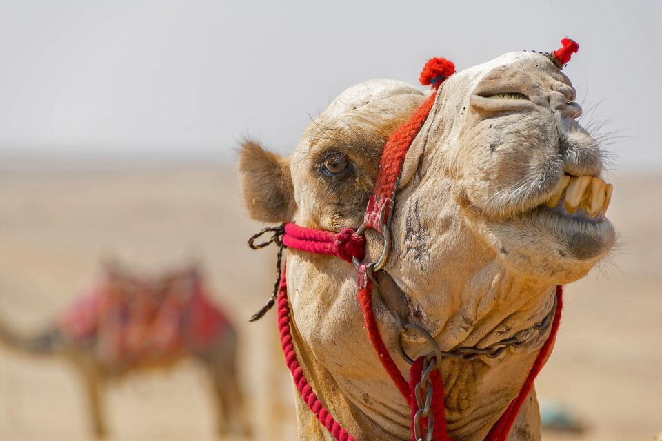 Hurghada Wüstensafari und Quad fahren