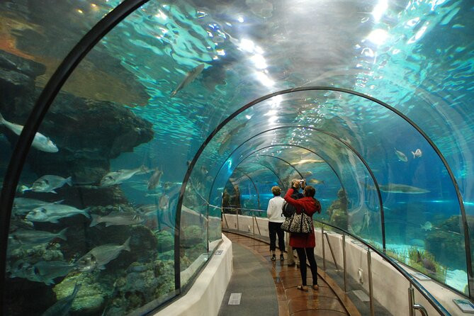 Hurghada Grand Aquarium